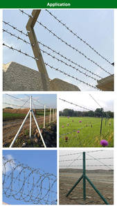 Kawat Berduri Baja Tahan Karat Single Twisted SS Grade 304 4 Mata 20kg Coil untuk Pagar Peternakan di Pantai - Product Image 2