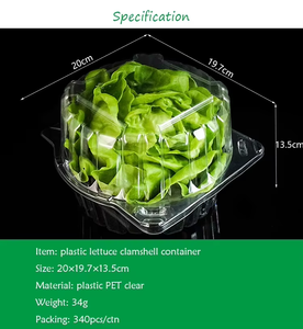 Embalagem de Alface em <span class=keywords><strong>PET</strong></span> Transparente de Alta Qualidade para Alimentos - Recipiente Plástico para Alface - Product Image 6