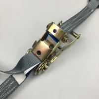 Correa de Amarre con Trinquete para Carga, Correas de Poliéster con Trinquete, Correas de Amarre con Trinquete de 28mm y 1500kg