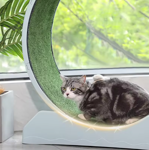 Running Exercise Wheels Household Pet <b>Cat</b> Roller Physical <b>Cat</b> Fitness Treadmill Silent <b>Cat</b> <b>Scratching</b> <b>Board</b> - Product Image 5