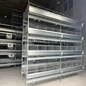 Philippines South African Commercial Poultry Full Automatic H Type 4 Tier Egg Layer Chicken Cage With Automatic Feeder