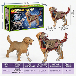 Kit scientifique interactif STEM, modèle anatomique d'animaux 3D, cadeaux d'anniversaire pour enfants et coffret de compétences scientifiques et d'ingénierie - Product Image 6