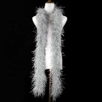 Vente en gros de boas en plumes d'autruche de 16 couleurs, 9-11 cm, 5 plis, 2 m, duveteux, pour la couture de robes, les costumes, la création de mode, la décoration
