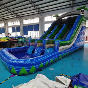 Tobogán acuático inflable tropical de doble carril, castillo inflable comercial para niños con piscina. - Product Image 2