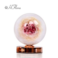 Lampe à fleurs de pivoines Hflora, coffret cadeau pour la remise des diplômes et la fête des mères, éclairage LED écologique, pivoines éternelles décoratives préservées