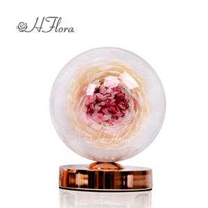 Hflora A Grade peonie Flower Lamp vendita calda Eternity <span class=keywords><strong>Flowers</strong></span> idee per scatole regalo per la festa della mamma personalizza altre piante di fiori decorativi - Product Image 2