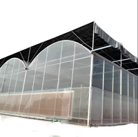 Film plastique pour serre à travées multiples pour système hydroponique Serre agricole galvanisée avec cadre en polycarbonate