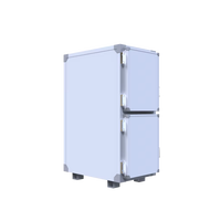 Esfrigo ES590V 590L Boîte de stockage isotherme portable pour chambre froide, pour livraison en chaîne du froid efficace, avec plaques eutectiques amovibles, haute performance