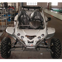 RLG500 EEC 500cc Transmission Automatique Buggy Voiture UTV 4x4 Moteur 4 Temps Certifié EPA 4WD Conduite Gaz Diesel Carburant