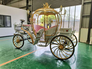 Charrette électrique royale de luxe pour le tourisme / Chariot électrique de transport spécial / Chariot à chevaux touristique à vendre - Product Image 3