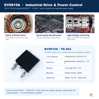 EvolE 150V 116A N-Channel Trench MOSFET TO-263 D2PAK RDS(on) 10m Gate Threshold 2.0-4.0V Saklar Daya Penggerak Motor EV5815A