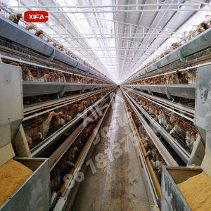 Nueva Jaula <span class=keywords><strong>de</strong></span> Batería para Gallinas Ponedoras <span class=keywords><strong>de</strong></span> 3-4 Niveles, Construcción <span class=keywords><strong>de</strong></span> Acero, Capacidad para 96-160 Aves, Sistema Automático, Larga Vida Útil - Product Image 1
