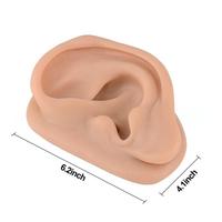 Modelo de Oído Humano Ampliado de Silicona, Modelo de Práctica de Acupuntura para Enseñanza y Educación Biológica