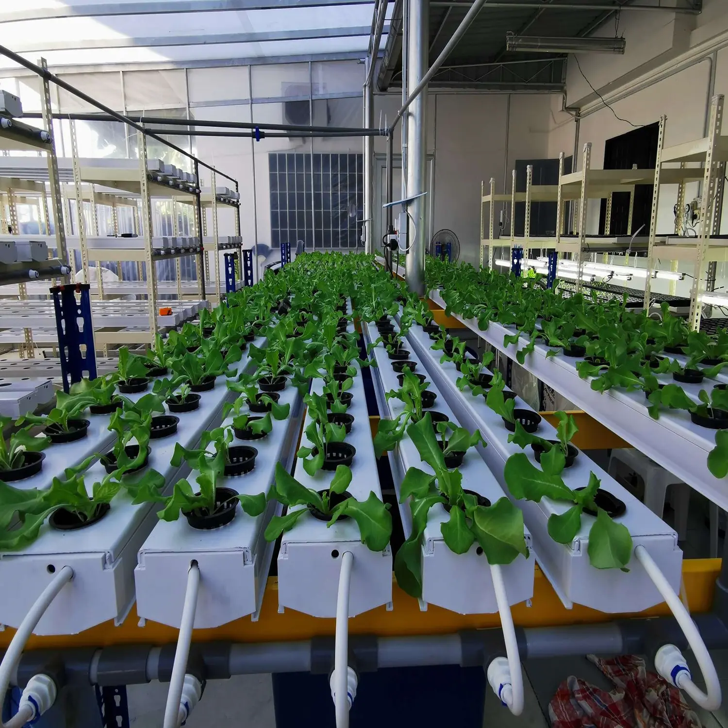 Nft phát triển thủy canh hệ thống dọc Farming giải pháp nft hydroponics phát triển hệ thống kênh 100x50 mét