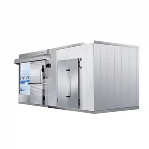 Contenitori per la conservazione degli alimenti del congelatore del frigorifero walk-in personalizzato cella frigorifera da 20 piedi