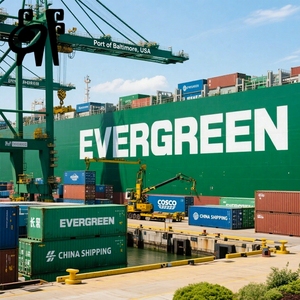 Logística LCL de Venezuela y Guyana Francesa desde China con Envío Marítimo en Contenedor y Despacho de Aduanas - Product Image 1