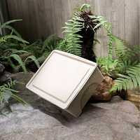 Emballage personnalisé haut de gamme en boîte de papier recyclé, compostable, écologique et biodégradable, pour produits ménagers moulés, portable, en soie