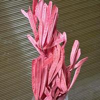 Plantes stabilisées en gros tout-en-un, forme feuille de saule, pour remplissage floral séché de style bohème pour bouquets de mariage DIY