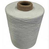 Raw White 21S 100% Polyester Spun Yarn Ring Spun for Knitting Weaving