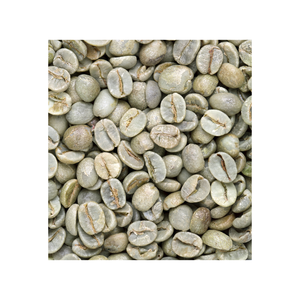 เมล็ดกาแฟเขียวพรีเมียม เกรด 1 AA โรบัสต้าดิบ ไม่ผ่านการคั่ว สำหรับคั่วทำกาแฟ แบรนด์ส่วนตัว จำหน่ายส่ง ปริมาณมาก รับผลิตแบบ OEM ขายส่ง ส่งออก - Product Image 1