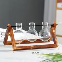 Plante à air terrarium plantes hydroponiques jardinière en verre de bureau vase en verre à bulbe avec station de propagation en bois