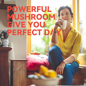 Private Label 10:<span class=keywords><strong>1</strong></span> 20:<span class=keywords><strong>1</strong></span> Leões Juba Cordyceps Cogumelo Mistura Em Pó Natural Cogumelo Maitake Duplo Extrato Em Pó - Product Image 6