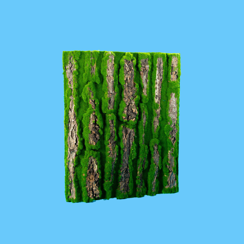 4050