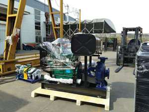 Bomba Diesel Agricola Bomba Para Riego Agricola Motobomba Diesel - Product Image 2