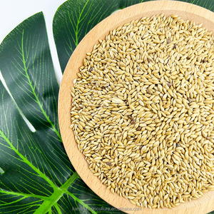 Fabriek Groothandel Alpiste Vogelzaad Voor Canari Geel-Rij Groenvink Bulk Kanarie Zaadprijs - Product Image 3