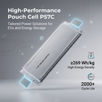 Cellules semi-solides Farasis NMC en pochette 55Ah 57Ah 70Ah 3.7V ≥2000 cycles Taux de décharge 4.8C/5C 269-270Wh/kg