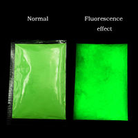 Pigment fluorescent qui brille dans le noir, paillettes écologiques en poudre de fibres végétales, résine luminescente pour nail art, artisanat, fournitures de fête