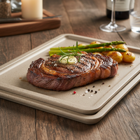Plateau de service rectangulaire en mélamine gris de 11,8 pouces, nouveau design, plat, en plastique, pour mariage et fête, écologique, vente en gros usine