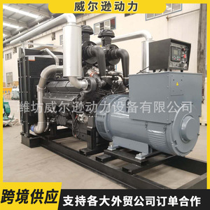 Groupe électrogène diesel Shanghai Cap 500 kW 380 V 50 Hz pour alimentation de secours d'hôpital - Product Image 5
