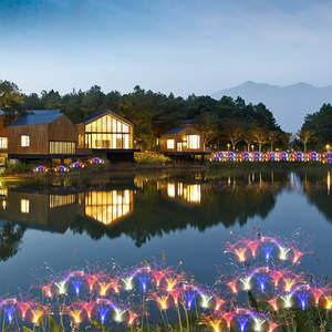 Nuevo estilo moderno exterior suelo centelleante iluminación impermeable RGB exterior fibra caña LED lámpara de jardín - Product Image 3