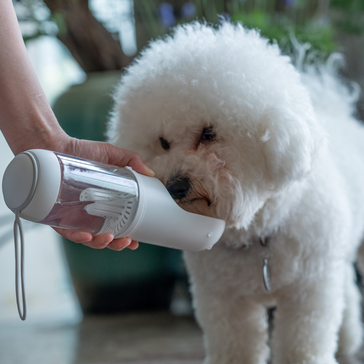 Wholesale Durable Fashion 2 In 1 Pet Dog Water Bottle Portable Pet Outdoor Water Bottle For Large Small Dog