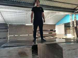 फिल्म का सामना प्लाईवुड ट्रिप्ले फेनोलिको 18 मिमी y ट्रिप्ले अनुकूलन लोगो उच्च गुणवत्ता वाली प्लाईवुड 10 से अधिक बार इस्तेमाल किए गए पॉपलर लकड़ी - Product Image 6