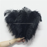 Plumes d'autruche noires naturelles 40 cm, prix d'usine, matériaux artisanaux, accessoires de couture, décoration de coiffure pour la danse DIY