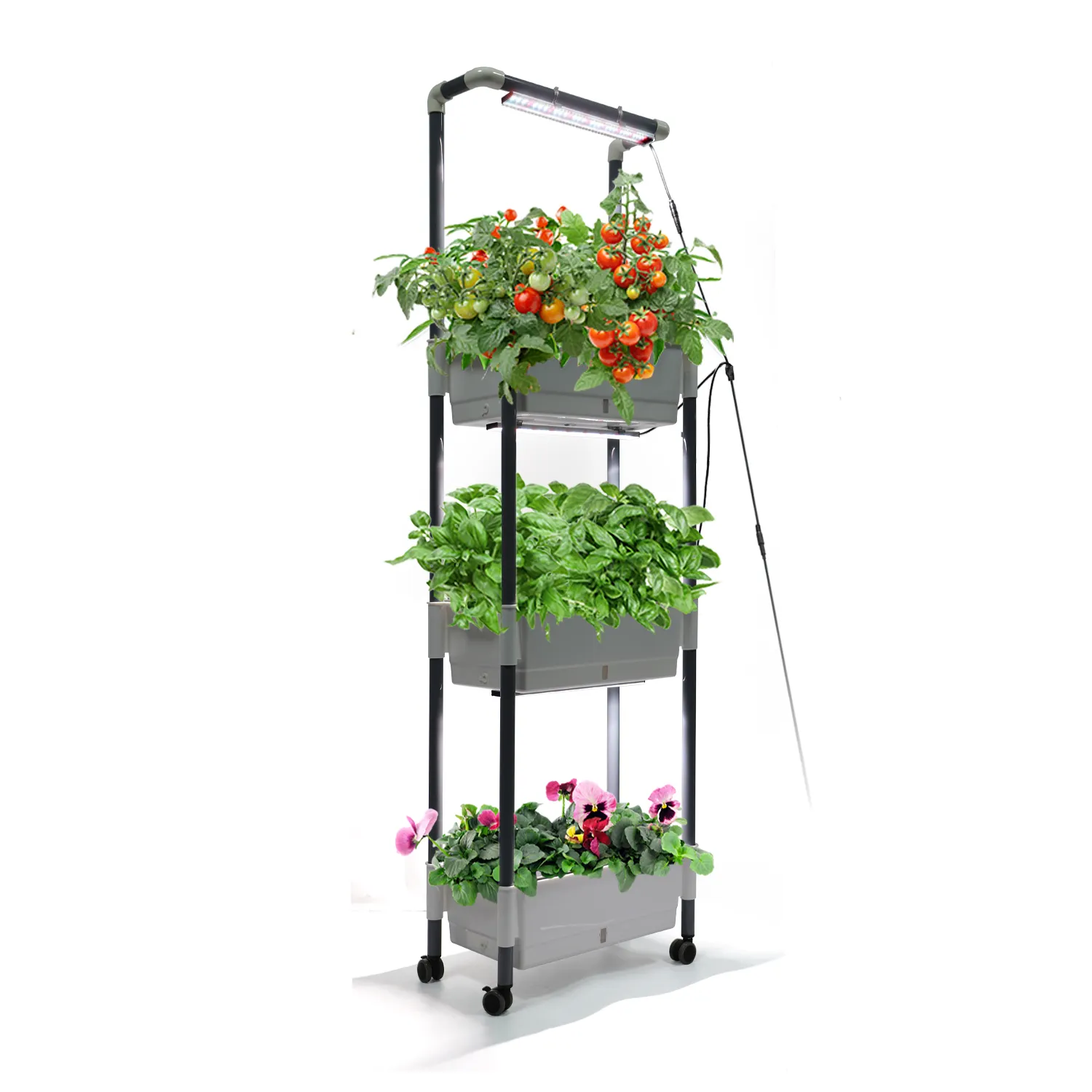 Wholesale Modern Home Plant Stand Rack 660NM LED Grow Light 5000K With 3 Plastic Planting Pots and Holders