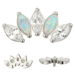 Bijoux de piercing corporel en titane ASTM F136 G23, ensemble de 5 broches, <span class=keywords><strong>marquise</strong></span> CZ, filetage interne, labrets - Product Image 5