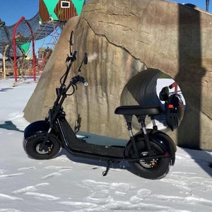 Scooter Citycoco H4 <span class=keywords><strong>Nouveau</strong></span> Modèle Vélo Électrique Vélo de Ville Électrique E-Bike avec Batterie Amovible - Product Image 3