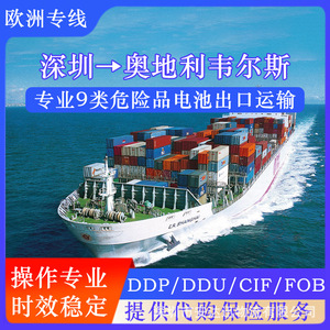 Contenedor de Carga Anda Xun de Shenzhen, Austria Wels, FCL LCL, Envío Marítimo Exprés, DDP, Despacho de Aduanas - Product Image 3