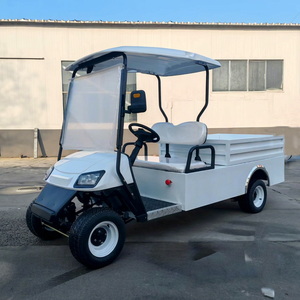 Buggy Eléctrico de Trabajo para Dos Pasajeros, Color Personalizado, 3-4 Asientos, 30-50 km/h, Certificado CE, 90 km de Autonomía, para Transporte de Carga en Campus, Villas y Granjas - Product Image 1