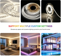 Contrôleur LED tout-en-un SP533E 5-24V PWM Wifi Alexa Google Home 3CH PWM RGB RF Dimmer pour bande LED