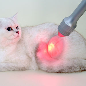 Réhabilitation vétérinaire de laser de machine médicale futée de thérapie de laser de la classe IV pour des chevaux de chiens de chats - Product Image 3