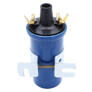Bobine d'allumage 0221119027 pour véhicules Fiat Volkswagen BMW Mercedes Benz Porsche Volvo, pièce de rechange - Product Image 2