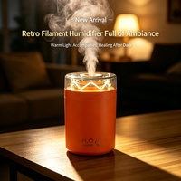 Humidificateur de voiture portable mini 300 ml, style vintage à filament, 2 modes de brume, minuterie, arrêt automatique, USB-C, CE, FCC, RoHS