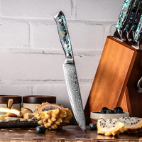 Couteau de chef japonais à 67 couches-VG-10 acier damas à haute teneur en carbone avec manche en coquille d'ormeau véritable