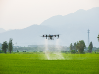 Drone T50 version internationale Guangdong avec caméra 4K HD en stock, GPS, vol stable, longue durée de vie de la batterie pour la photographie aérienne