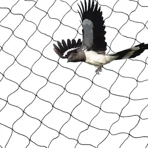 Prezzo a buon mercato pesante PE nylon annodato anti uccello rete per uccelli agricolo