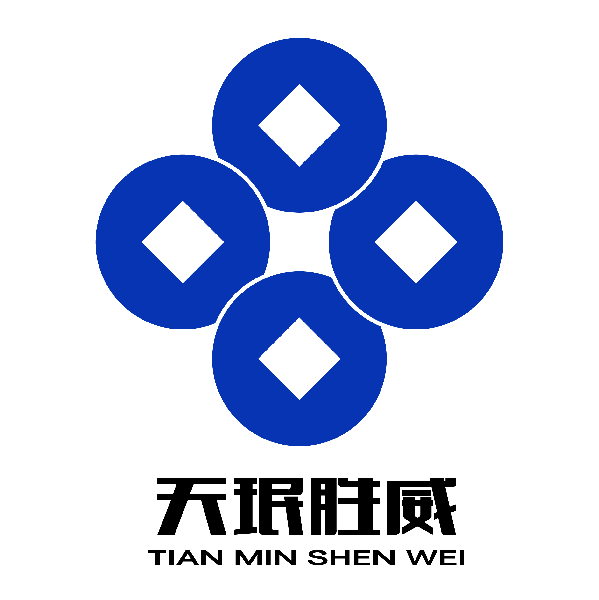 Sky Triumph (Shanghai) Technology Co., Ltd. logo